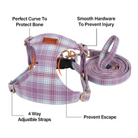 CHEDE No Pull Plain Pattern Dog Harness- Lightweight and Soft Dog Harness, Adjustable Small Dog Harness and Leash Set, with Dog Leash, Suitable for Puppy Small and Medium-Sized Dog