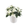Elho Brussels Diamond Round 14 - Indoor Planter - White,