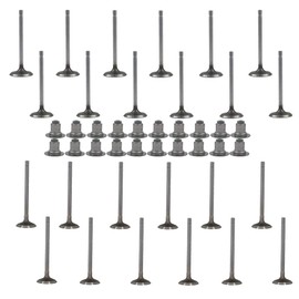 labwork 24pcs Intake Air-out Valve 12575351 Replacement for Buick Allure Enclave Lacrosse 3.6L Dohc 12575354