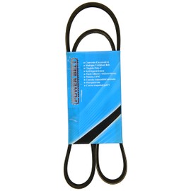 MAPCO V-Ribbed Belts (261138)