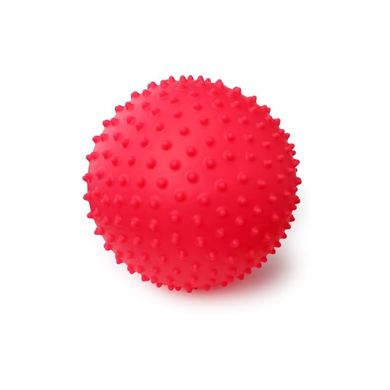 playkidz Super Durable 6 Sensory Ball