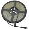 Lyyt | Professional 12V LED Strip | 5m Reel |