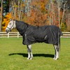 Equinavia Norse 200g Medium Weight Horse Blanket | Waterproof Winter