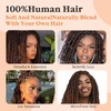 Yacurcur Afro Kinkys Bulk Human Hair 50g/Pack for Dreadlocks Extensions,Loc
