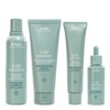 Aveda Scalp Solutions Quad Bundle