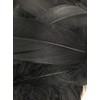 Black Feathers, 100 Pack