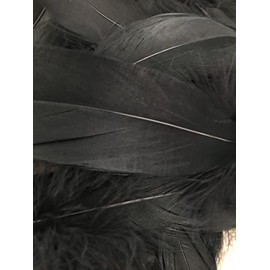 Black Feathers, 100 Pack