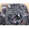 Phillips EHD (1) OEM UTILITY WIRING HARNESS PHILLIPS EHD 49-30-2026-03