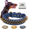 Kawagogo Leather Dog Collar with Sharp Spikes,Protect The Dog's Neck