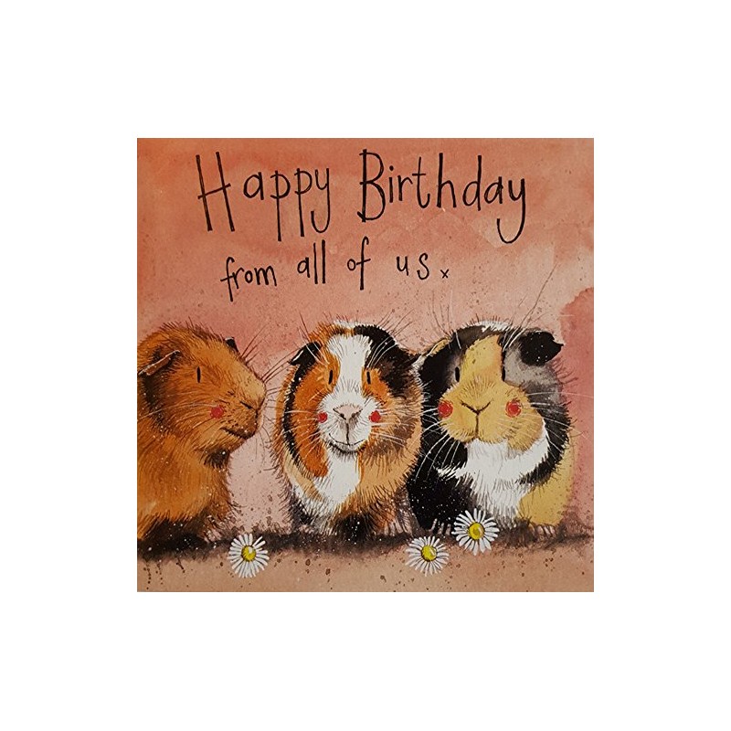Alex Clark Three Guinea Pigs Birthday Card
