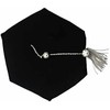 Happy Secret Doctoral tam Tassel Graduation Bullion Tassel Silver