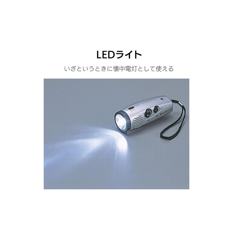 Sterling Palm Radio Light 4505F