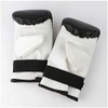 isami FS-18 PU Punching Gloves for Beginners, Kids, Women, Martial