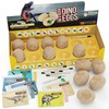Dig a Dozen Dino Egg Kit for Kids - Dinosaur
