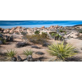 MIRRORANG 120 x 61 cm Desert Dune Reptile Terrarium Aquarium Background Aquarium Background Bearded Dragon Vivarium Background Vinyl