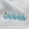 [Handmade Nail Tips] Dolphin Ocean Nail Tips - Petit Almond