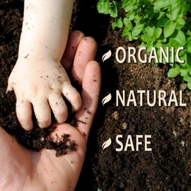 OrganicMatters Natural Weed Killer Spray, No Glyphosate, Results in Less Than 24-Hours (128 oz Gallon)