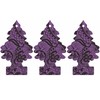 LITTLE TREES Air Freshener, Midnight Chic, 1 Count (Pack of