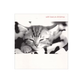 Christmas Card for Cat Lover | Black and White Photo of Sleepy Kitten | From Friend Family Member or From The Cat
