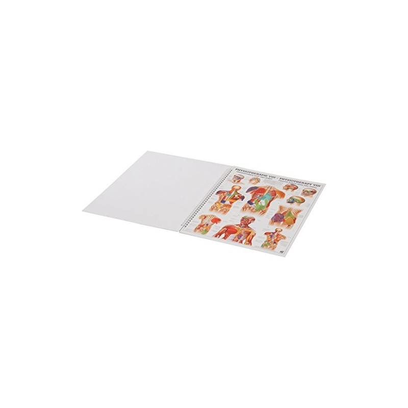 Physiotherapy of Man Mini Poster Booklet Anatomy 34 x 24