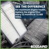 EcoGard Filtro de Aire de Motor XA10424 para Honda Fit