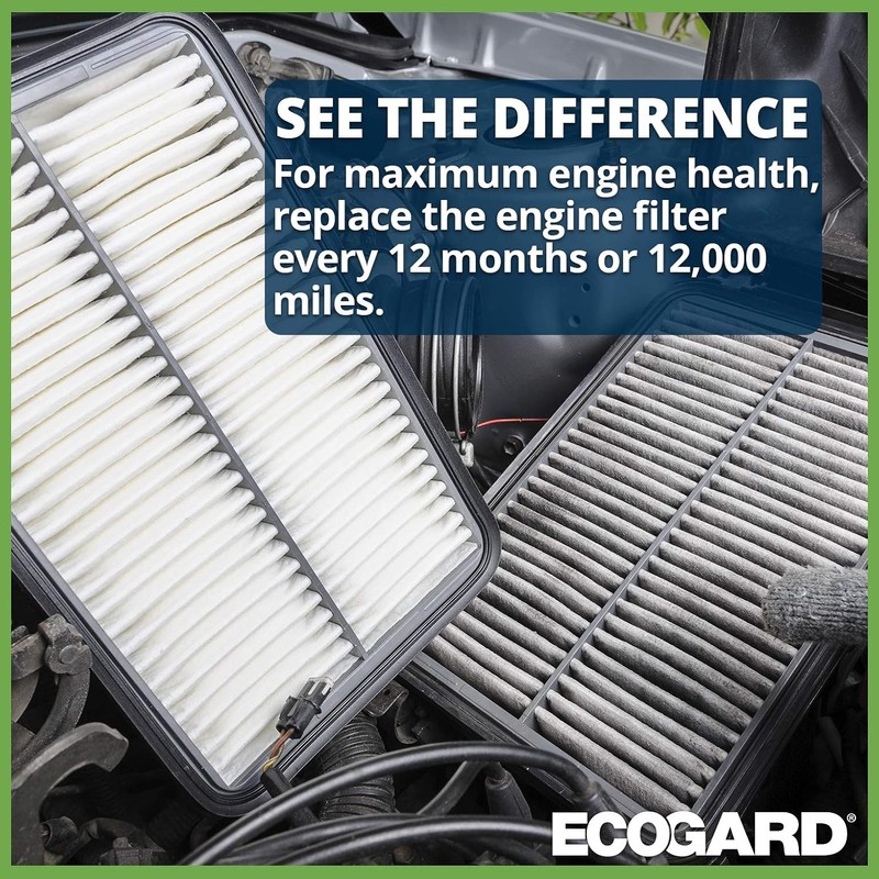 EcoGard Filtro de Aire de Motor XA10424 para Honda Fit