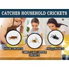 MaxGuard Extra Large Cricket Traps (8 Traps) | Non-Toxic Extra