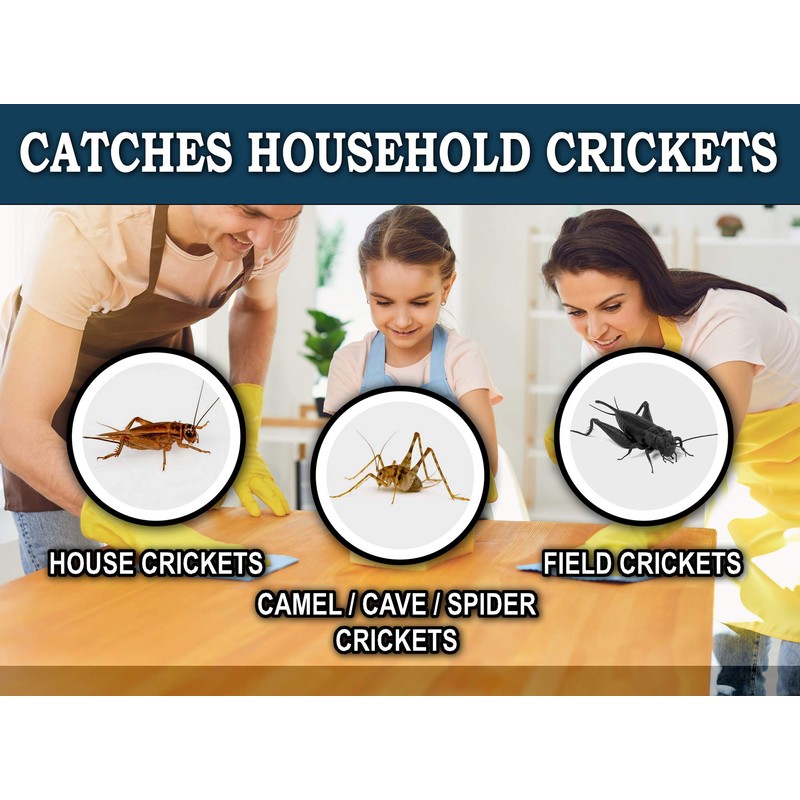 MaxGuard Extra Large Cricket Traps (8 Traps) | Non-Toxic Extra