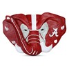 College Bronze Alabama Crimson Tide Storage and Organization Wall Hook