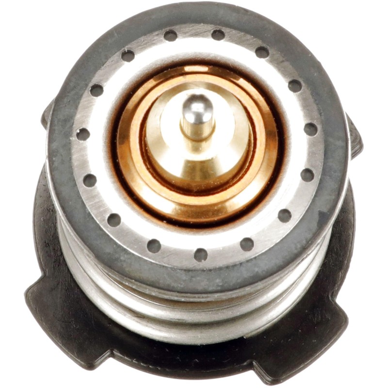 GATES TH59787G1 Thermostat