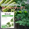 【リプサ公式】 モリンガ 約3か月分 C-123 サプリメント