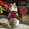 Monsully Cat Harness with Lead, Cat Lead with Harness for