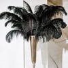 Retrowavy 30 Pcs 18-20 Inch Large Natural Ostrich Feathers Bulk