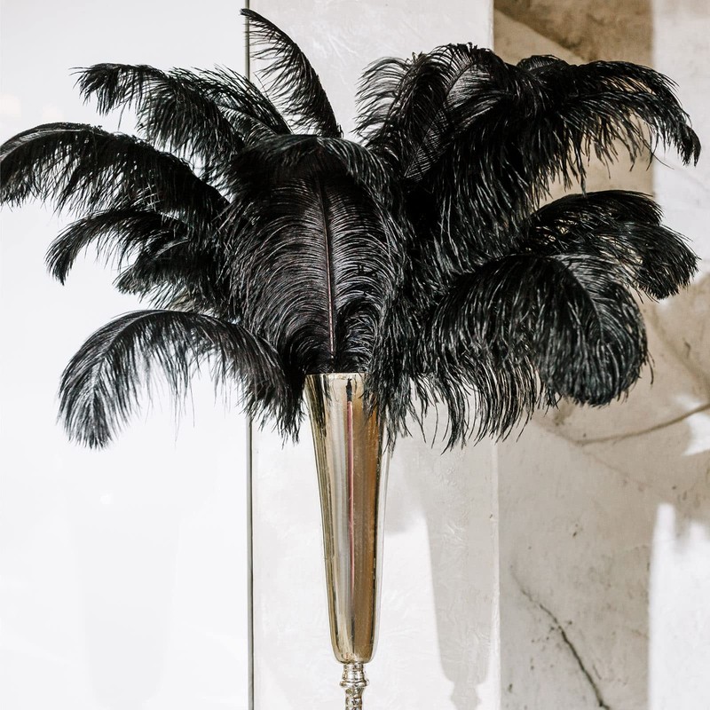 Retrowavy 30 Pcs 18-20 Inch Large Natural Ostrich Feathers Bulk