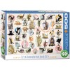 Eurographics EG65000991 Yoga Kittens Puzzle, Various, 48 x 68 cm