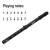 Rayzm Tin Whistle/Irish Whistle, D-Key 6-Hole Aluminum Penny Whistle for
