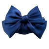 Napist NPBS001CN Chignon Net Barrette Hair Clip Accessory Formal Ribbon