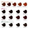 Tinte Colortech Con Peroxido De 20 Vol 135 Ml 8.44