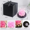 Preserved Pink Real Rose with LED Light eternal flowers rose