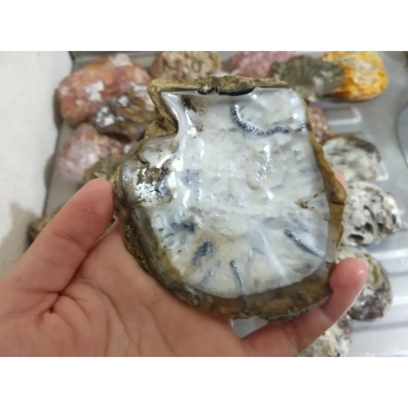 1 Frasco De Crema Concha Nácar Artesanal 100 Ml