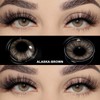 Turin-Blue Eyelash Tweezers for Eye Contact Lens Application and Display