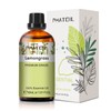 PHATOIL Aroma Oil Lemongrass Essential Oil 30ml Essential Oil Lemongrass