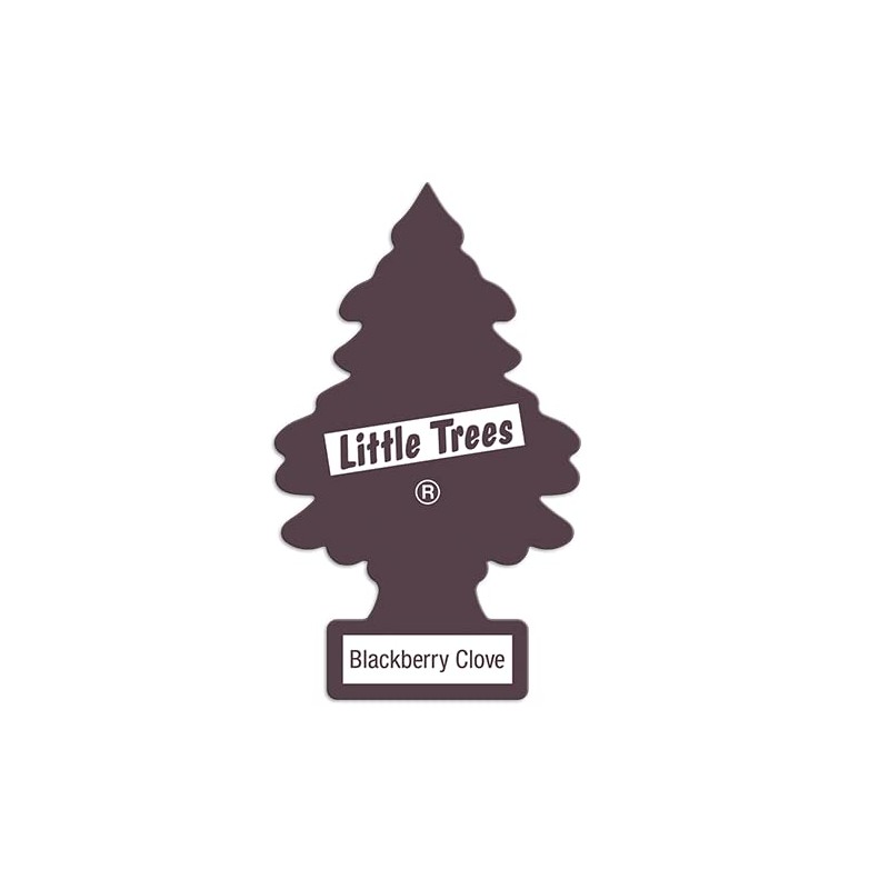 LITTLE TREE U6P-67343: BlackBerry Clove, Multi