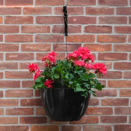 Mayne Caprio Self Watering Hanging Planter - Sturdy, Lightweight Planters for Indoor and Outdoor Use, with Water Level Indicator and Drainage System, Basket for Flowers