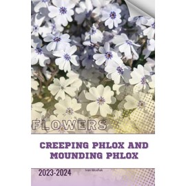 Creeping Phlox and Mounding Phlox: Become flowers expert