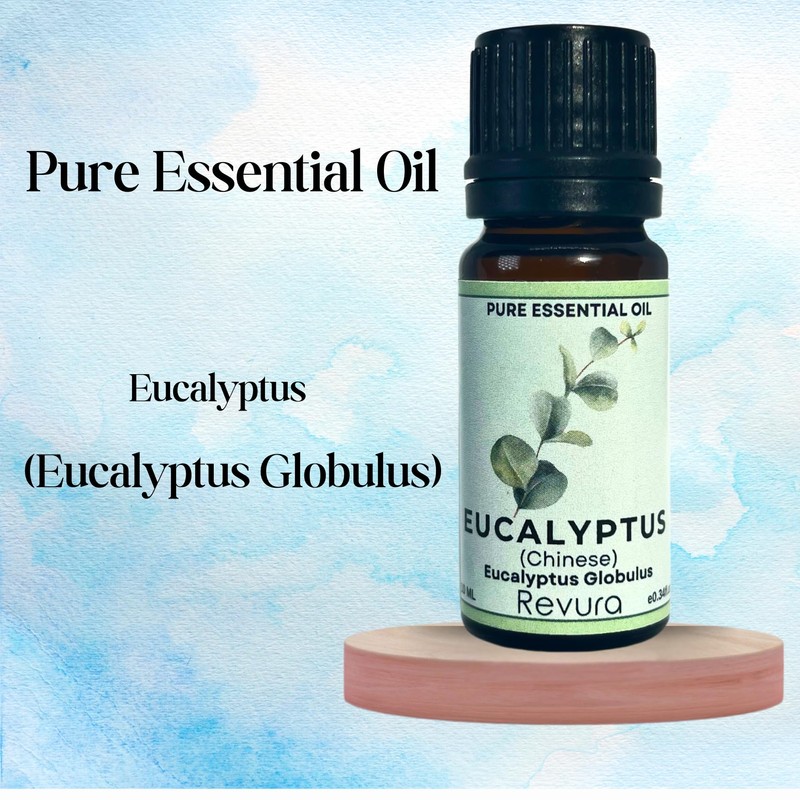 Pure Eucalyptus Essential Oil for Aromatherapy, Massage, Bath (1Pack of
