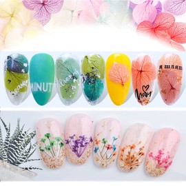 2 boxes dried flowers nail parts fine pressed flowers nail resin pressed flowers material natural pressed flowers nail art decoration material dry lace pattern ornaments DIY parts