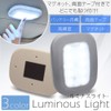 PR-LUMINOUS-BK Indoor Light, LED Light, Reading Light, Multi-purpose, USB Charging,