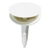 Hikari KQF-55 Strong Suction Cup Hook, Medium, 2.2 inches (55