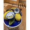 White LEMON CANISTER DOG/CAT TREATS CANISTER BLUE SKY CLAYWORKS CERAMIC